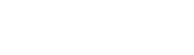 A WordPress site